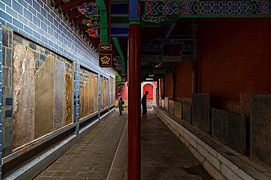 速通大会RTA in Japan Winter 2024募集近2000万日元捐款