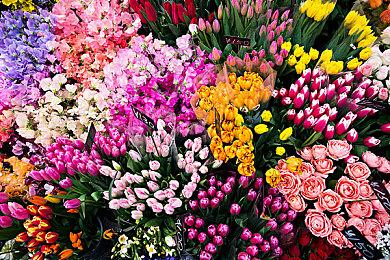 粉丝自制“光环”战役项目《光环：重生》预览